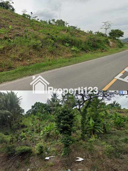 Dijual Lahan Investasi Strategis - Bakauheni - 5