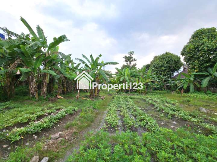 Tanah Super Strategis Jalan Buaran Raya Serpong Tangerang Selatan - 4