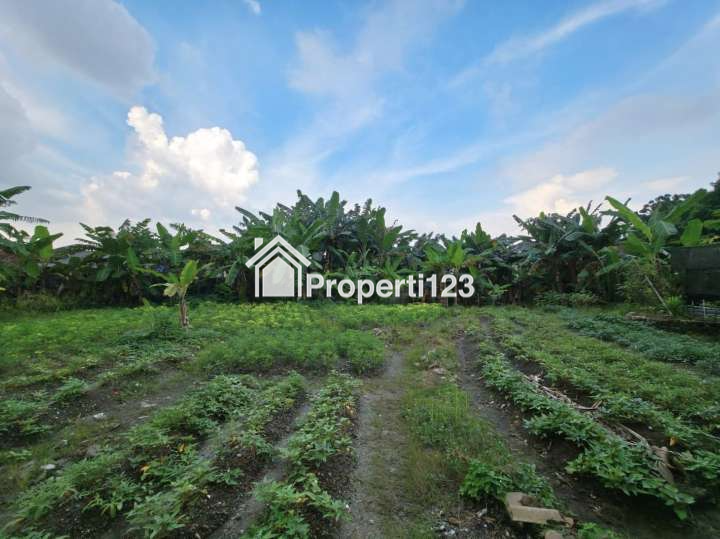 Tanah Super Strategis Jalan Buaran Raya Serpong Tangerang Selatan - 5