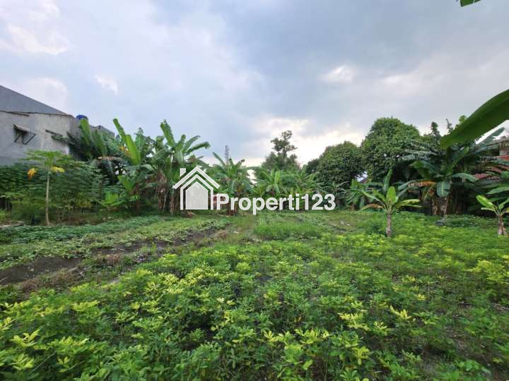 Tanah Super Strategis Jalan Buaran Raya Serpong Tangerang Selatan - 6