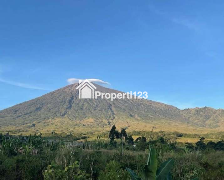 Dijual Tanah Datar 2,54 Ha Super View Gunung Rinjani, di Sembalun Lombok - 3