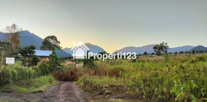 Dijual Tanah Datar 2,54 Ha Super View Gunung Rinjani, di Sembalun Lombok - 5
