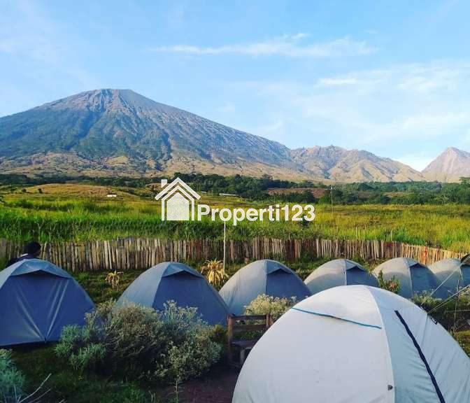 Dijual Tanah Datar 2,54 Ha Super View Gunung Rinjani, di Sembalun Lombok - 1