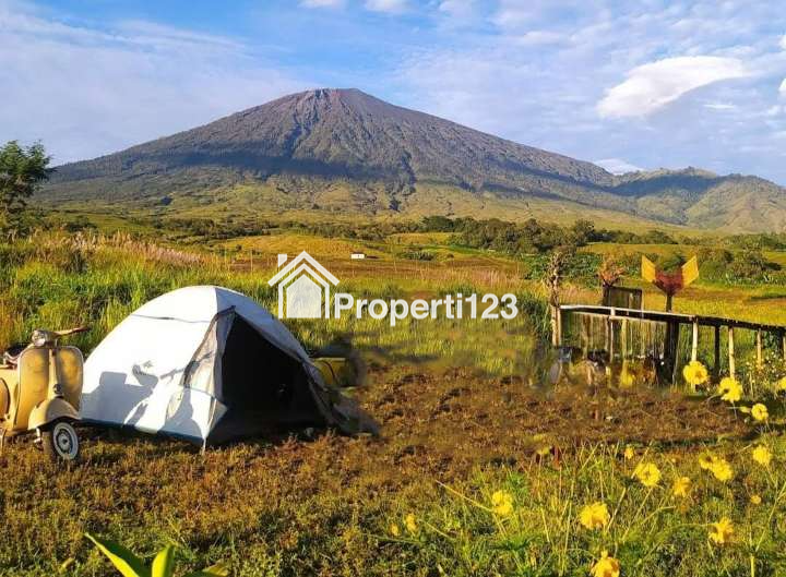 Dijual Tanah Datar 2,54 Ha Super View Gunung Rinjani, di Sembalun Lombok - 2
