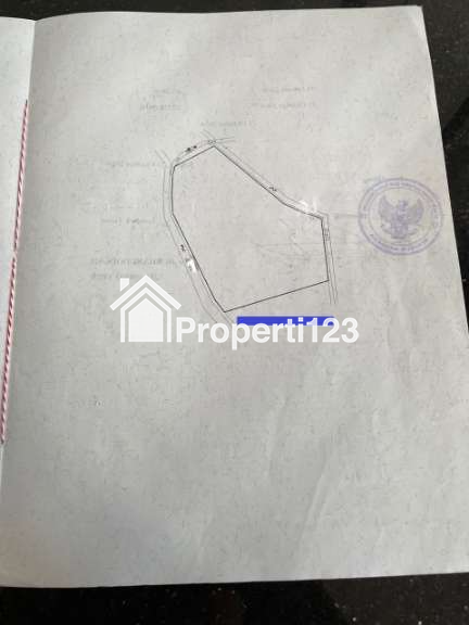 Dijual Tanah Datar 2,54 Ha Super View Gunung Rinjani, di Sembalun Lombok - 8