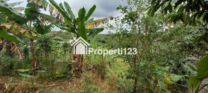 DIJUAL Lahan di Wilayah Industrial (Pabrik & Pergudangan) Citeureup, Kab. Bogor - 4