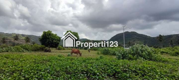 Dijual Cepat Tanah Tepi Pantai Pasir Putih, Pantai Torok Lombok Tengah - NTB - 8