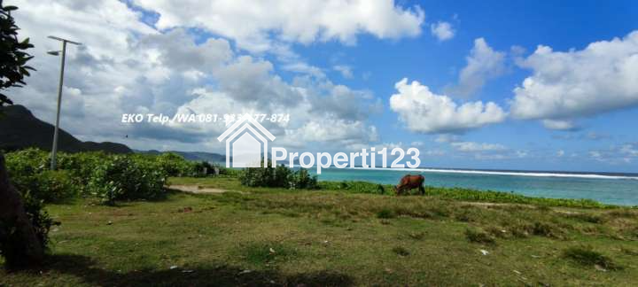 Dijual Cepat Tanah Tepi Pantai Pasir Putih, Pantai Torok Lombok Tengah - NTB - 6