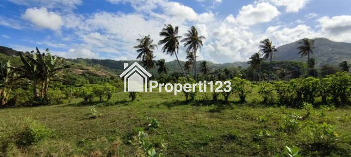 Dijual Cepat Tanah Tepi Pantai Pasir Putih, Pantai Torok Lombok Tengah - NTB - 7