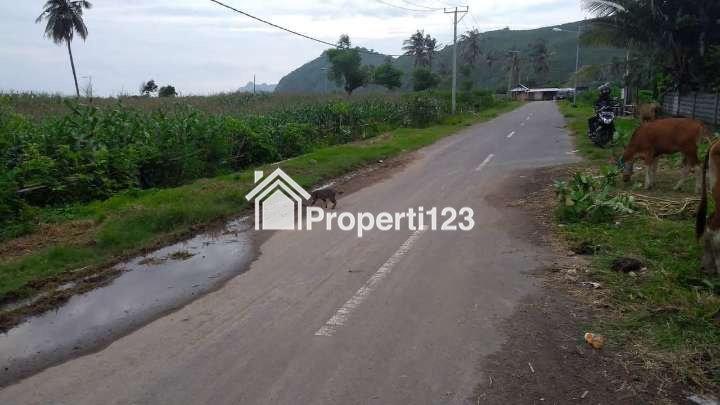 Dijual Cepat Tanah Tepi Pantai Pasir Putih, Pantai Torok Lombok Tengah - NTB - 9