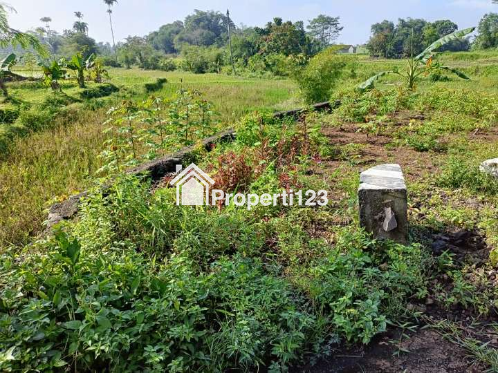 Dijual Tanah Sawah Produktif Pinggir Jalan Di Kota Tasikmalaya - 3