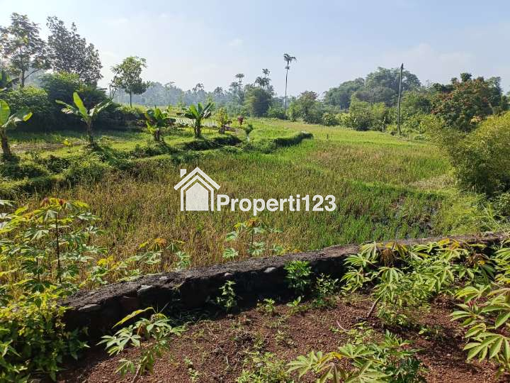 Dijual Tanah Sawah Produktif Pinggir Jalan Di Kota Tasikmalaya - 6