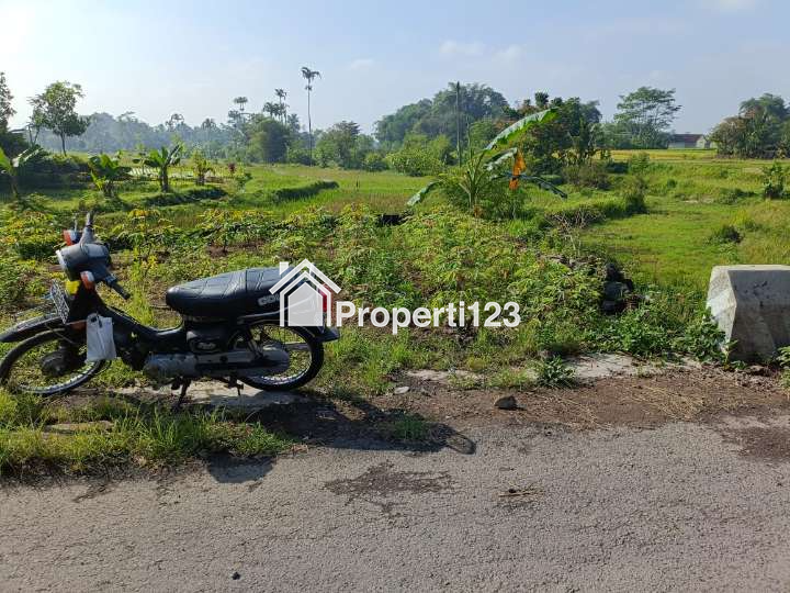 Dijual Tanah Sawah Produktif Pinggir Jalan Di Kota Tasikmalaya - 8