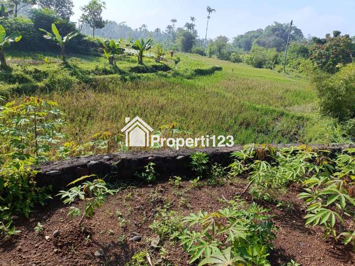 Dijual Tanah Sawah Produktif Pinggir Jalan Di Kota Tasikmalaya - 2