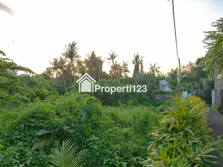 Dijual Tanah Di Pererenan Dkt Ke Canggu Kuta Utara Badung Bali - 3