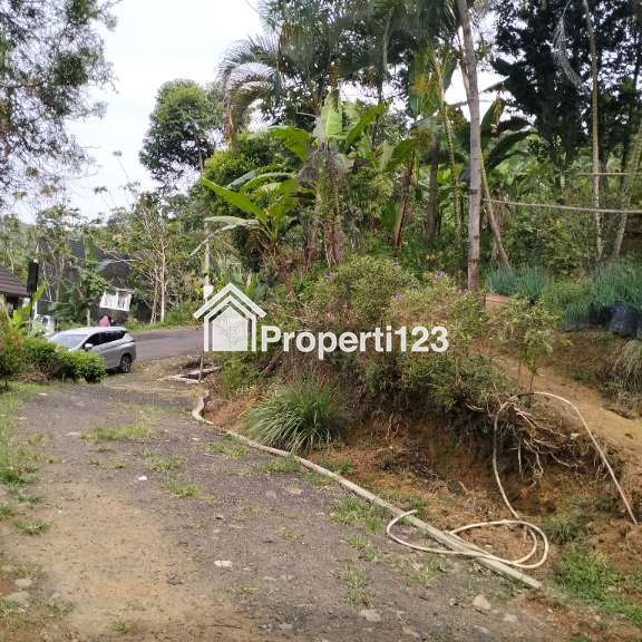 Dijual Cepat dan Murah Tanah di Sukawangi Sukamakmur Puncak Ii Bogor - 3