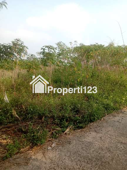 Tanah 1 Hektar SHM Untuk Cluster Rumah Kost Student House Dekat ITB Unpad IPDN dan IKOPIN di Jatinangor Sumedang - 5