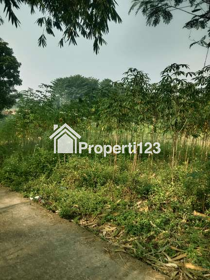 Tanah 1 Hektar SHM Untuk Cluster Rumah Kost Student House Dekat ITB Unpad IPDN dan IKOPIN di Jatinangor Sumedang - 3