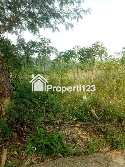 Tanah 1 Hektar SHM Untuk Cluster Rumah Kost Student House Dekat ITB Unpad IPDN dan IKOPIN di Jatinangor Sumedang - 2