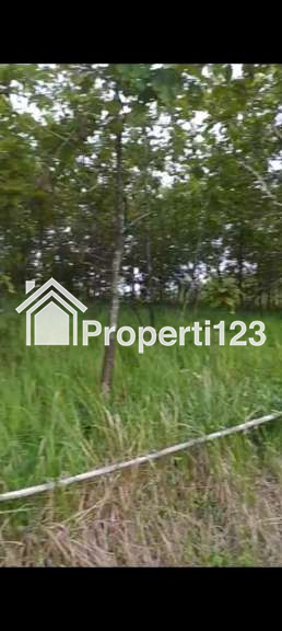 JUAL CEPAT TANAH DAN POHON JATI (KEBUN) - 2