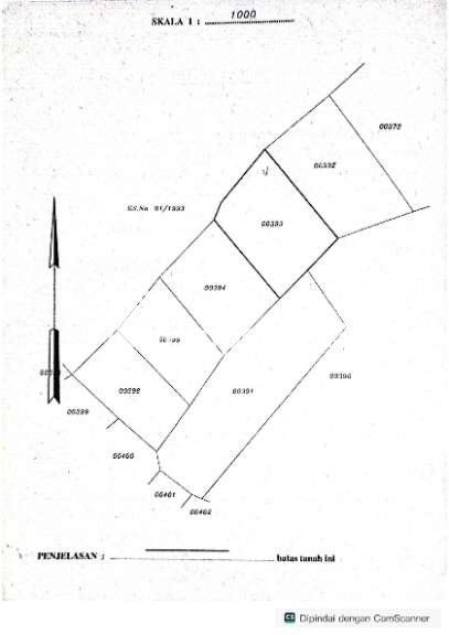 JUAL CEPAT TANAH DAN POHON JATI (KEBUN) - 10