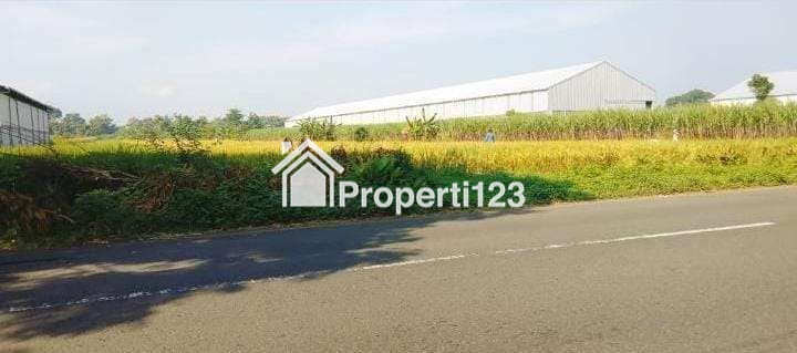 Dijual Tanah di Mojokerto - 1