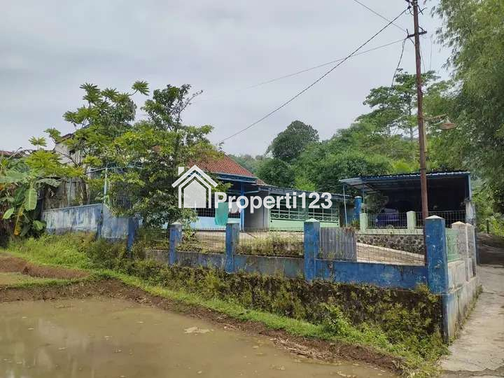 Rumah Asri di Tengah Kota - 2