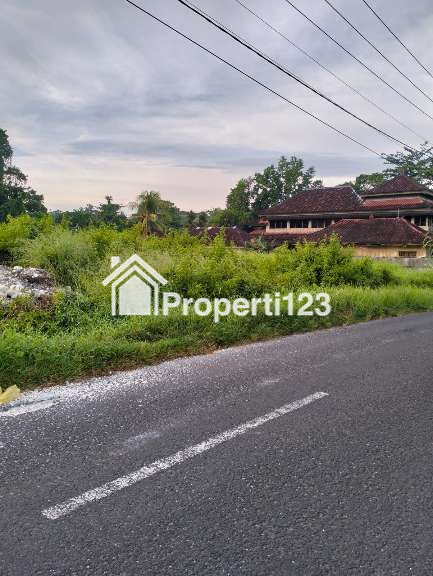 Dijual Tanah 2825 m2 Di Nyambu Kaba - Kaba Kediri Tabanan Bali - 5