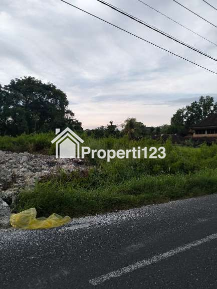 Dijual Tanah 2825 m2 Di Nyambu Kaba - Kaba Kediri Tabanan Bali - 4