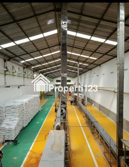 Dijual Pabrik Mie+ Krupuk di Subang Jawa - 1