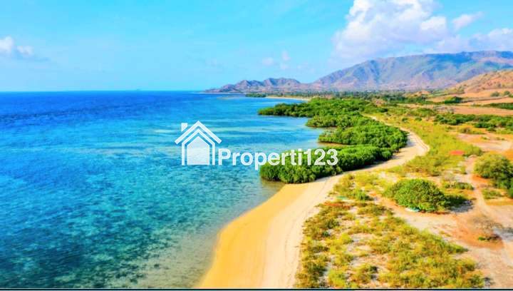 Dijual Tanah Los Pantai Tua Nanga Dkt Kertasari Poto Tano Sumbawa Barat - 2