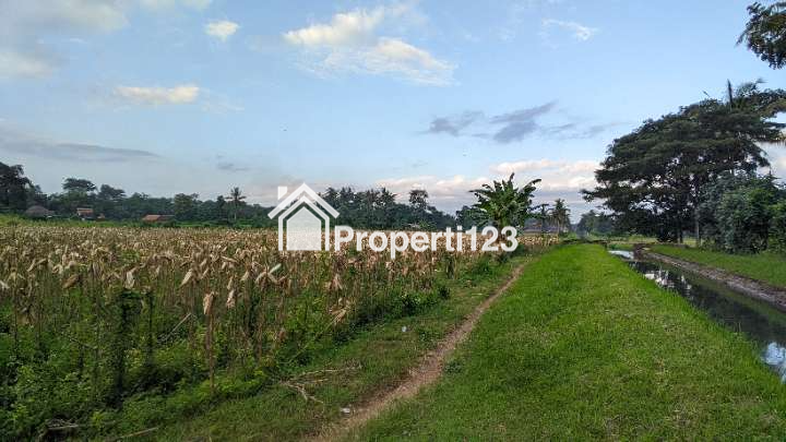 (BWI AI.016) Tanah Strategis Di Desa Kembiritan, Genteng, Banyuwangi - 7