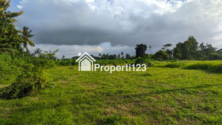 (BWI AI.016) Tanah Strategis Di Desa Kembiritan, Genteng, Banyuwangi - 6