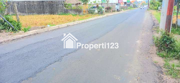 Disewakan Tanah Di Darmasaba Abiansemal Dkt Mengwi Badung Bali - 3