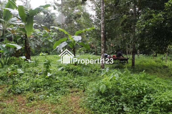 (BWI A.450) DIjual Tanah Produktif di Desa Taman Suruh, Kec. Glagah, Kab. Banyuwangi - 5