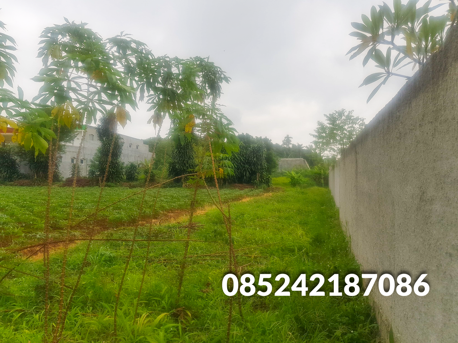 Jual Murah Tanah Rawakalong Dekat Serpong - 3