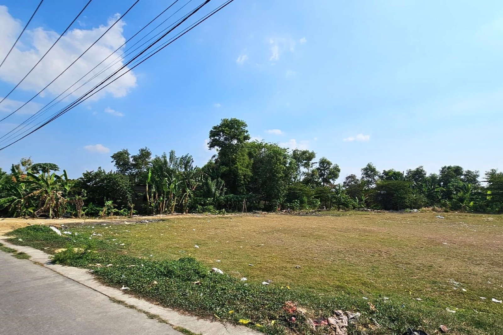 Tanah Desa Karangmulya Telukjambe Barat Karawang Barat - 5