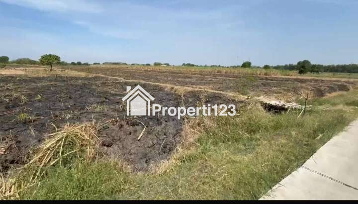 Dijual Tanah di Mojokerto - 1
