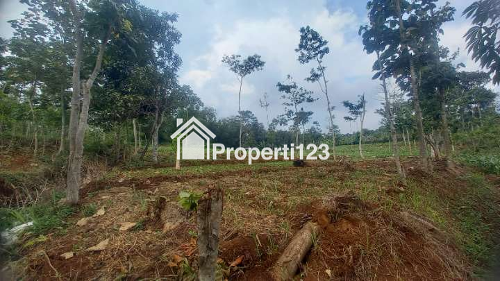 Di Jual Tanah Tanpa Perantara - 1