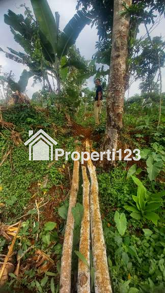 Di Jual Tanah Tanpa Perantara - 2