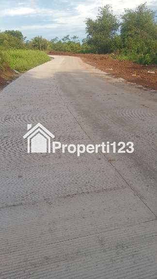 Jual murah tanah kebun produktif - 3