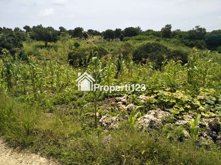 JUAL SEGERA: TANAH PINGGIR PANTAI KARANG INDAH, KODI BALAGHAR, SUMBA BARAT DAYA, NTT - 11