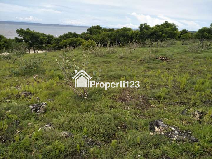 JUAL SEGERA: TANAH PINGGIR PANTAI KARANG INDAH, KODI BALAGHAR, SUMBA BARAT DAYA, NTT - 9