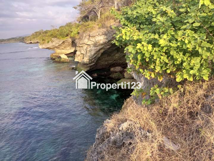 DIJUAL SEGERA: Tanah Pinggir Pantai Wee Wella, Sumba Barat Daya, Cocok untuk Hotel, Resort, Villa - 11