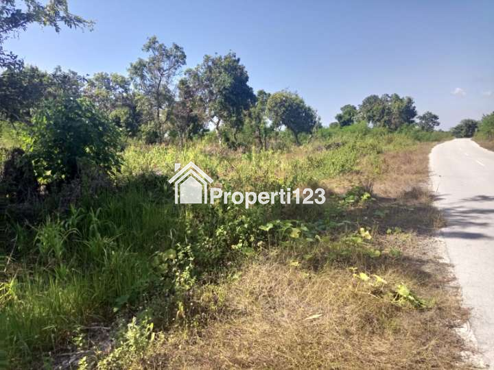 DIJUAL SEGERA: Tanah Pinggir Pantai Wee Wella, Sumba Barat Daya, Cocok untuk Hotel, Resort, Villa - 5