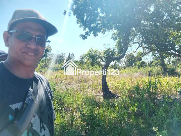 DIJUAL SEGERA: Tanah Pinggir Pantai Wee Wella, Sumba Barat Daya, Cocok untuk Hotel, Resort, Villa - 9