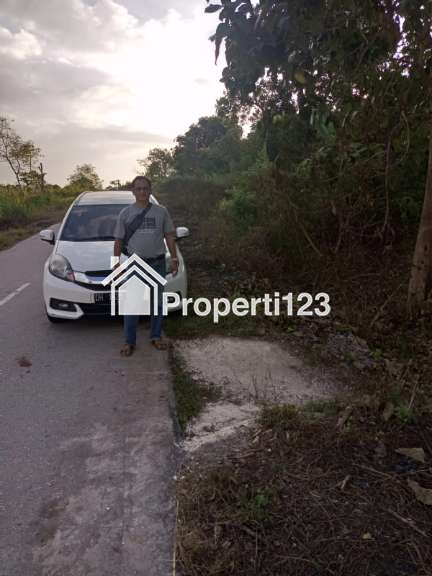 DIJUAL SEGERA: Tanah Pinggir Pantai Wee Wella, Sumba Barat Daya, Cocok untuk Hotel, Resort, Villa - 8