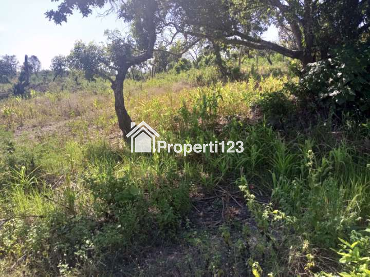 DIJUAL SEGERA: Tanah Pinggir Pantai Wee Wella, Sumba Barat Daya, Cocok untuk Hotel, Resort, Villa - 10