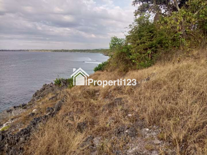 DIJUAL SEGERA: Tanah Pinggir Pantai Wee Wella, Sumba Barat Daya, Cocok untuk Hotel, Resort, Villa - 6