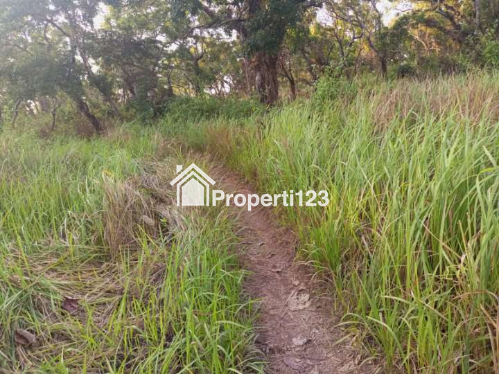 DIJUAL SEGERA: Tanah Pinggir Pantai Wee Wella, Sumba Barat Daya, Cocok untuk Hotel, Resort, Villa - 7